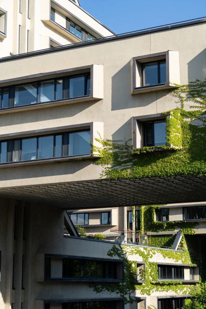 Green facade and eco house concept. Vine creeper around window on facade building covered wild grape